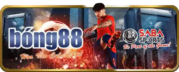 Nền tảng cá cược đá gà an toàn